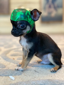 Cranial Helmet for Small Dog