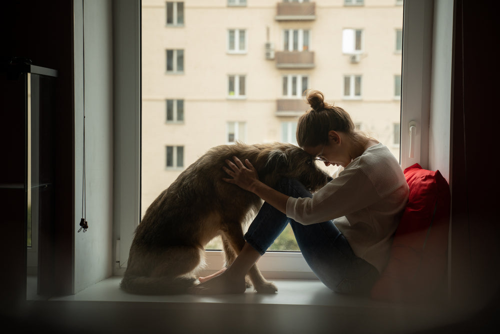 How Long Does a Torn Dog ACL Take to Heal Without Surgery?