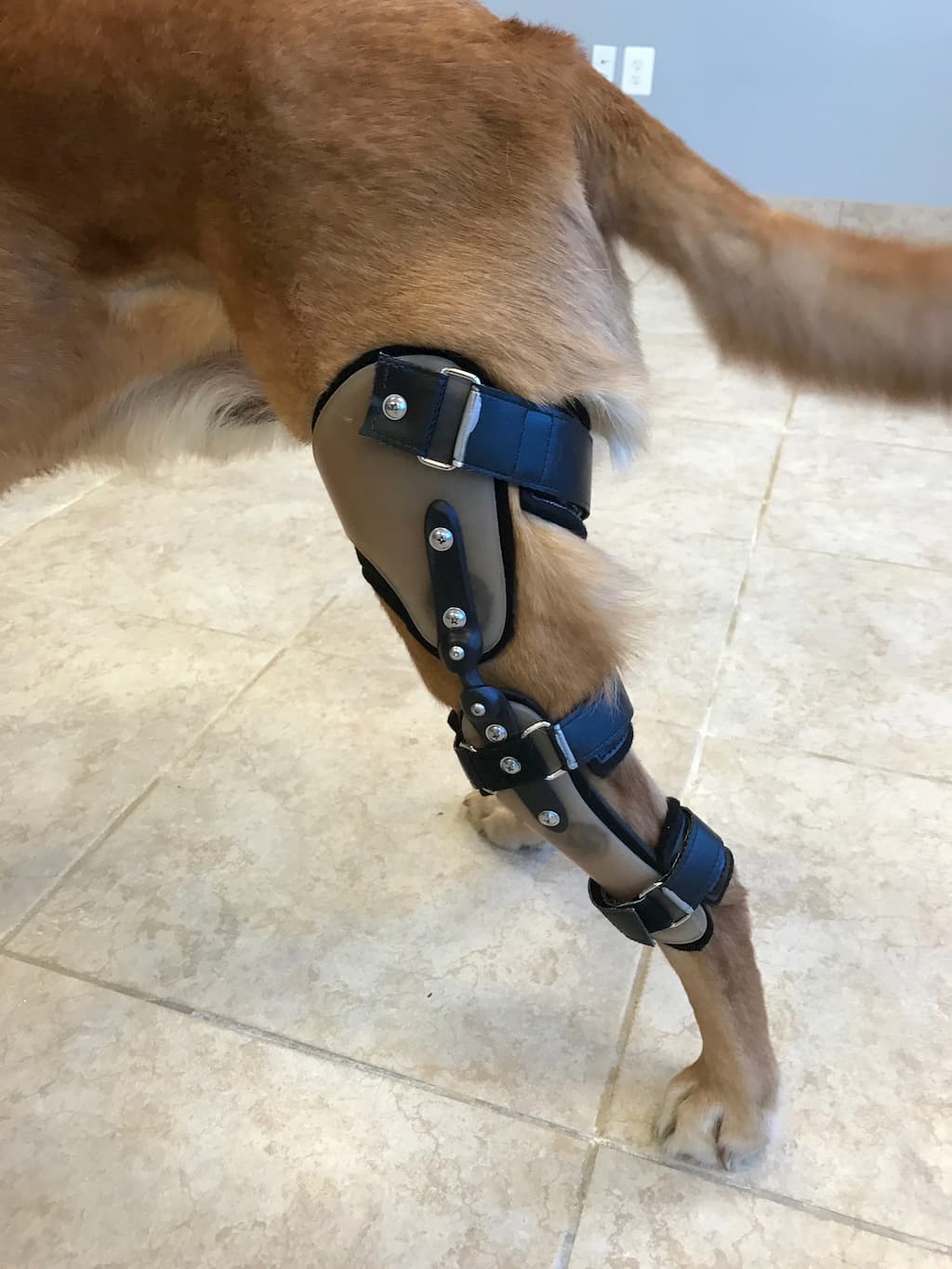 knee braces