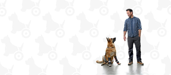 Derrick Campana, founder of Bionic Pets, stands next to a german shepherd wearing braces on both of its front legs.