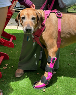 Load image into Gallery viewer, Custom Canine Carpal Brace (Wrist Brace)
