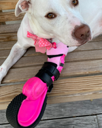 Cargar imagen en el visor de la galería, Custom Partial Prosthetic Limbs | Canine Prosthetics
