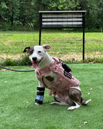 Load image into Gallery viewer, Custom Canine Carpal Brace (Wrist Brace)
