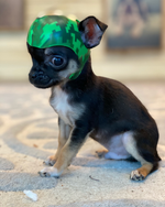 Cargar imagen en el visor de la galería, Custom Cranial Helmet
