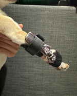 Load image into Gallery viewer, Custom Canine Carpal Brace (Wrist Brace)
