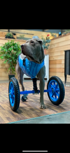 Thermoformed Plastic Animal Wagon