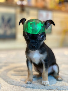 Canine Cranial Helmet