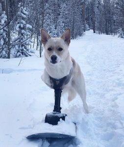 Slider/sled cart